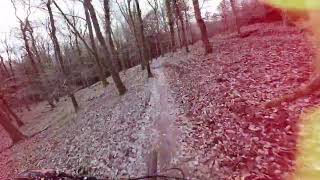 Christmas 2023 Ride At Forest Of Dean