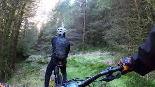 Afan - Blade Trail  1/12/23