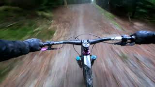 Dyfi Bike Park - 26th November - Run 3 - Lovey...