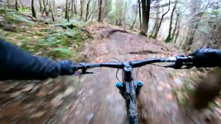 Dyfi Bikepark - 26th November - Run 4 - Turn...