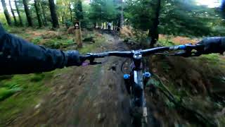 @richardsmith839  Run of Cougar at Forest of...