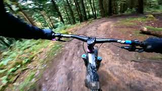 @richardsmith839  Run of Endo at Forest of...