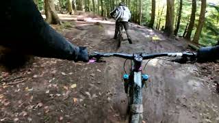 @richardsmith839 Run of Sheepskull at Forest...
