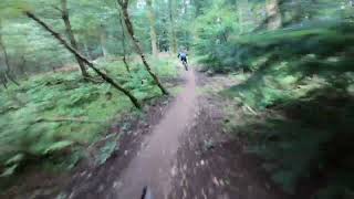 The New Twisted Sister @ The Forest Of Dean