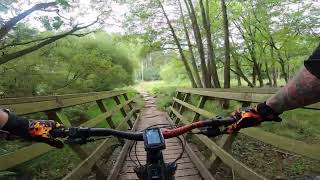 First Time At Cannock Chase.. Perry's Tail.....