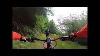 Few Hours At The Forest Of Dean.. tree hugging...