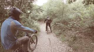 Dyfi.. a mixture of trails for all.. from...