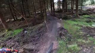 A few hours spent at Forest Of Dean (FOD).....