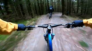 Dyfi Bikepark - Original DH - 4th March 2023