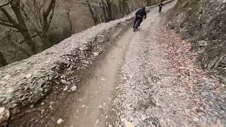 Hitting The 'fast' Bit At Dyfi Bike Park.. 37...