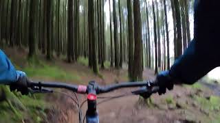 Vicious Valley at Bike Park Wales 2/12/22