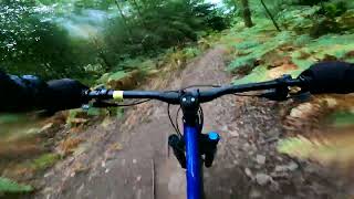 Elephant Man - Forest of Dean Cycle Centre