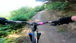 Bike Park Wales - Kermit - 18th July 2022