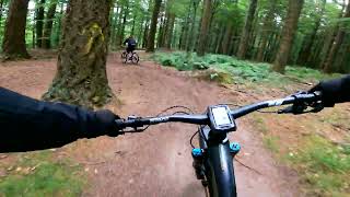 More Forest of Dean Off Piste 25th June 2022