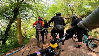 Black Mountain Cycle Centre - Raw (9 runs) 8th...