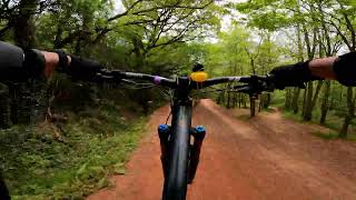 Black Mountains Cycle Centre - Berm Baby Berm