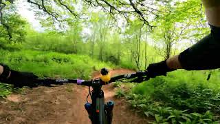 Black Mountain Cycle Centre - Well Oiled Weasel