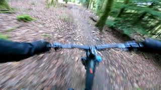 Forest of Dean 6th November 2021