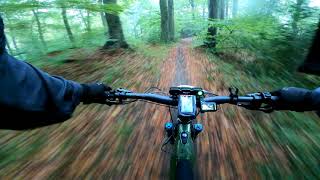 Birdlip to Popes Wood - 17th October 2021...