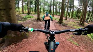 Cannop Cycle Centre (Forest of Dean) with...