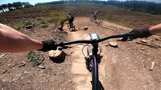 Cannock Chase - 18th July 2021