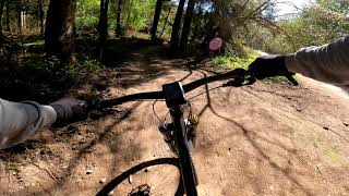 Cannop (Forest of Dean) Skirun on the Ragley...