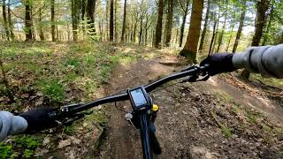 Cannop (Forest of Dean) Freeminers Trail...