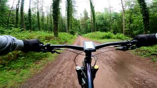 Verderer Trail (Forest of Dean) with New Bits...