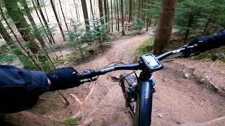 Cannop (Forest of Dean) - 5th April 2021
