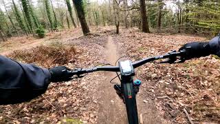 Cannop (Forest of Dean) Sheepskull - 3rd April...