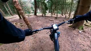 Cannop (Forest of Dean) Mr Rooty - 3rd April 2021