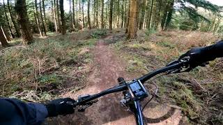 Ride on the Verderers Trail - Forest of Dean -...