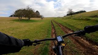2021 Ragley Bigwig Review. (First Impressions).