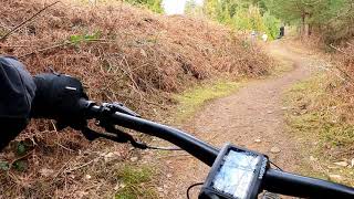 Ride on the Freeminers Trail, Forest of Dean...