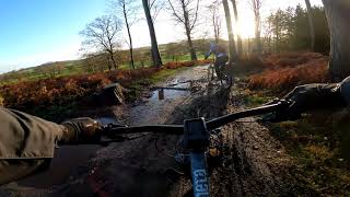 Cannock Chase - Follow the Dog & The...