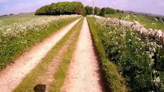 Trail-lapse - Time Compressed Video of Cycling...