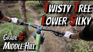 Twisty Tree into Lower Silky at Middle Hill
