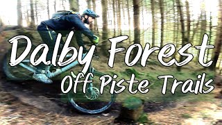 Conquering Dalby Forest's Hidden Trails with...
