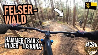 PFÄLZERWALD im 'Winter': geile Felsentrails...
