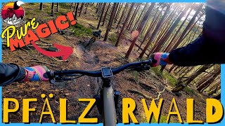PFÄLZERWALD: 'Winter' tour mit...