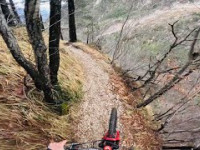 Malga Cuarnan and Gobbe Trail