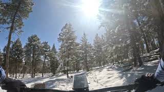 Shadow Pine Loop - Flying J Ranch - Conifer -...