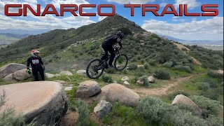 Gnarco Trails (Candy, Wylie and Angry Pigeon)...