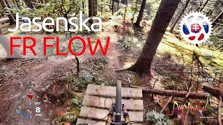 BIKEPARK Jasenska 2017 2. FR FLOW Course...