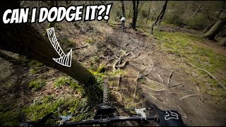 Finally Some Dry Trail Smashing! |...