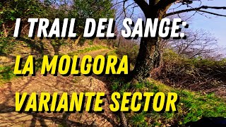 I Trail del San Genesio : DISCESA DELLA...