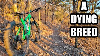 Mid-Fat/Plus Tire Bikes on the Market in 2024...