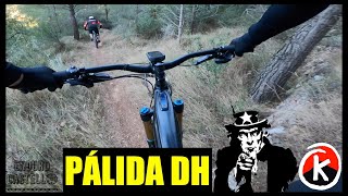 Pálida Flow
