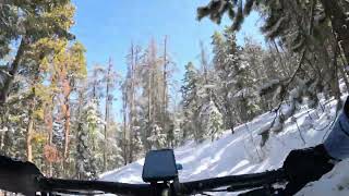 Sunny Aspen - Meyer Ranch Park - Conifer -...
