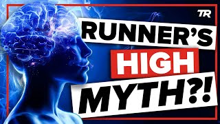 Runner’s High: Did we have it all wrong?!...